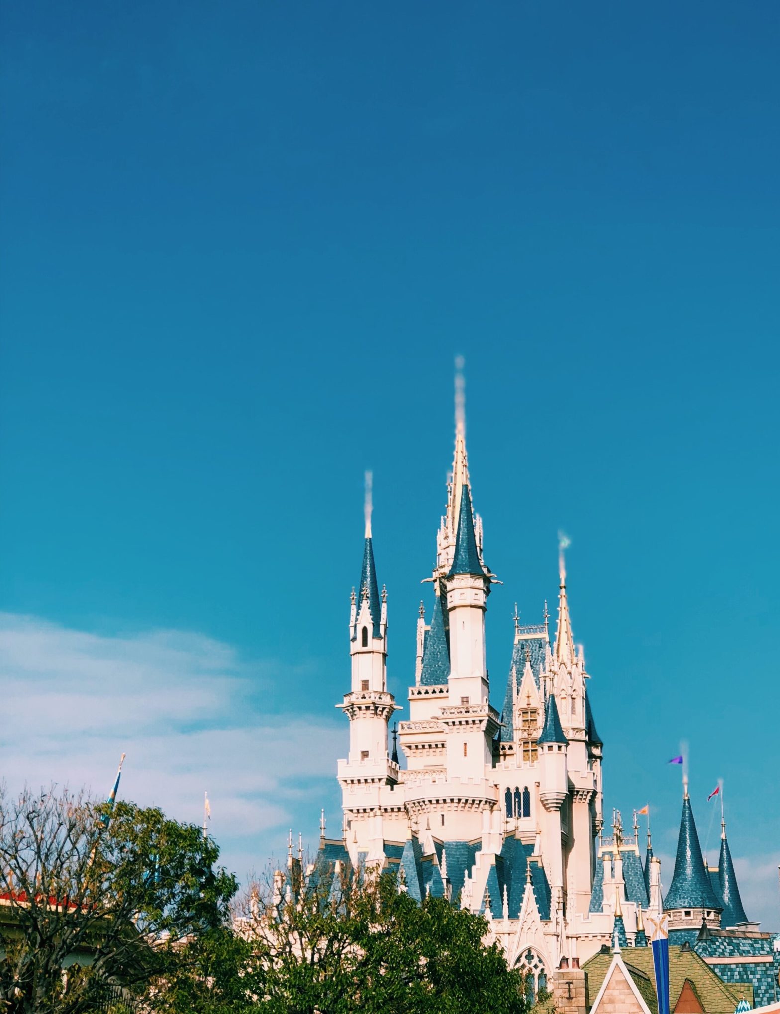 Tokyo Disney Travel Diary